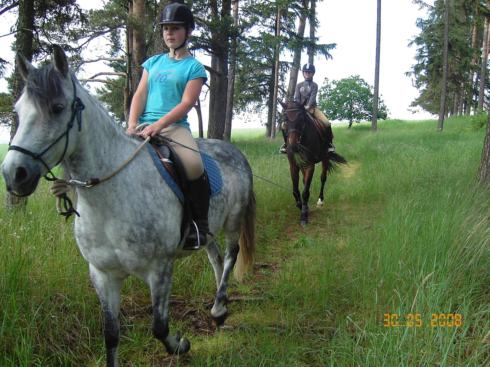 Na vyjíždce v lesíku