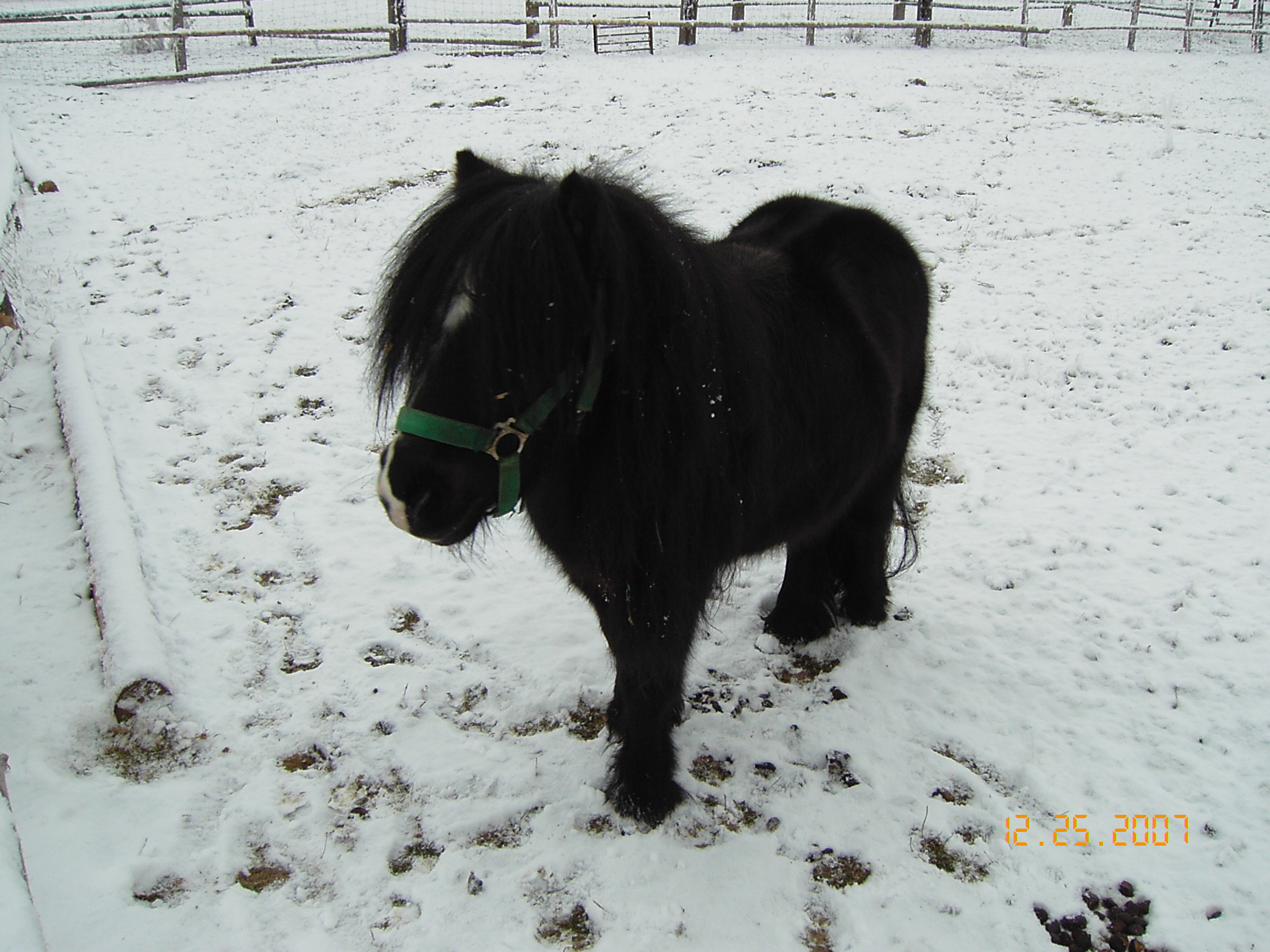 Ahoj to jsem já Ferda