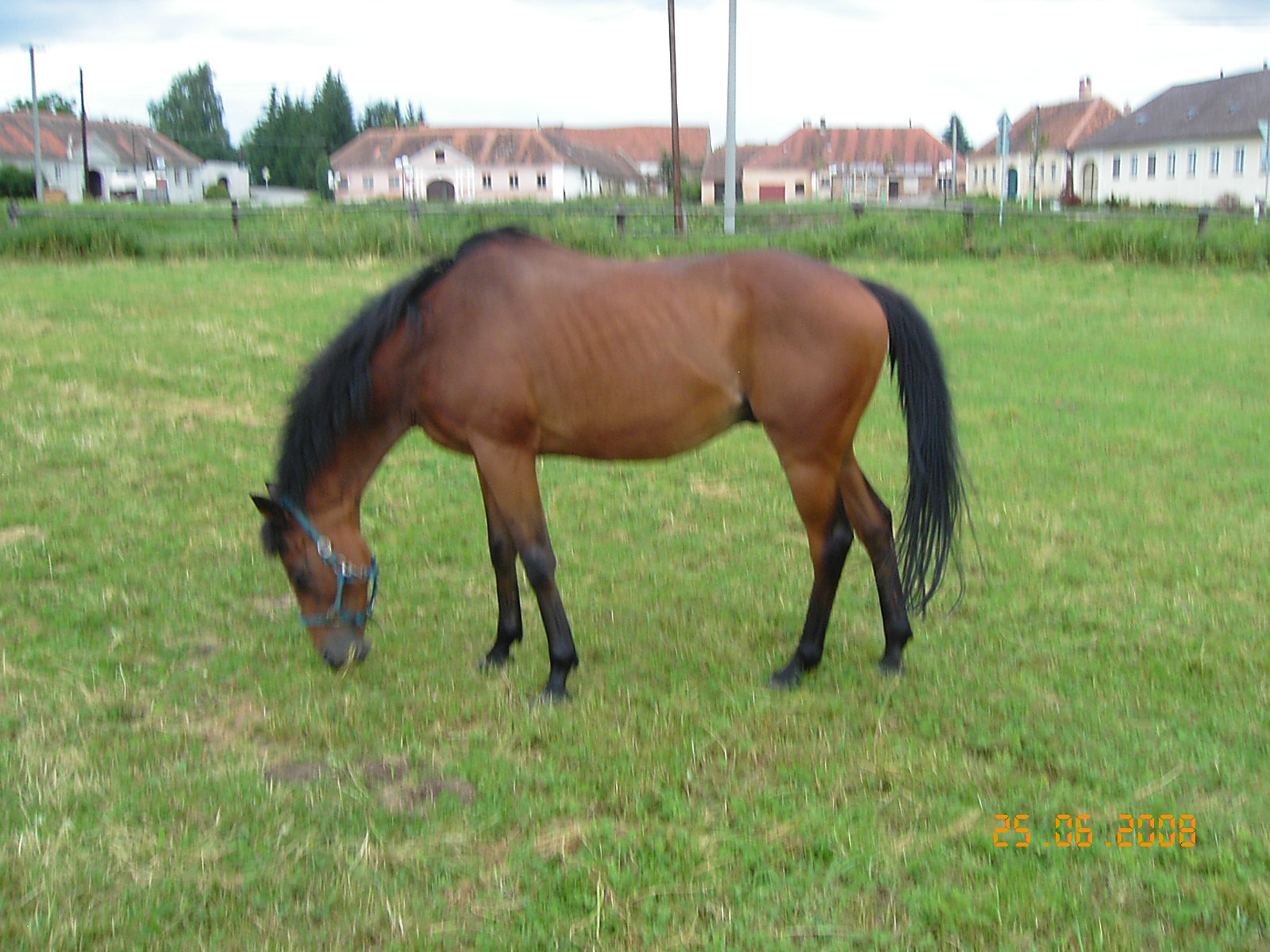 KIF_4153.JPG