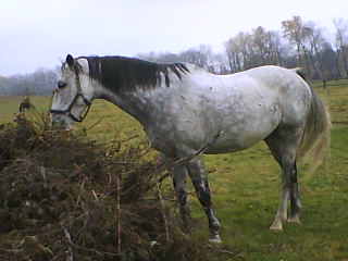 DSC00011.JPG