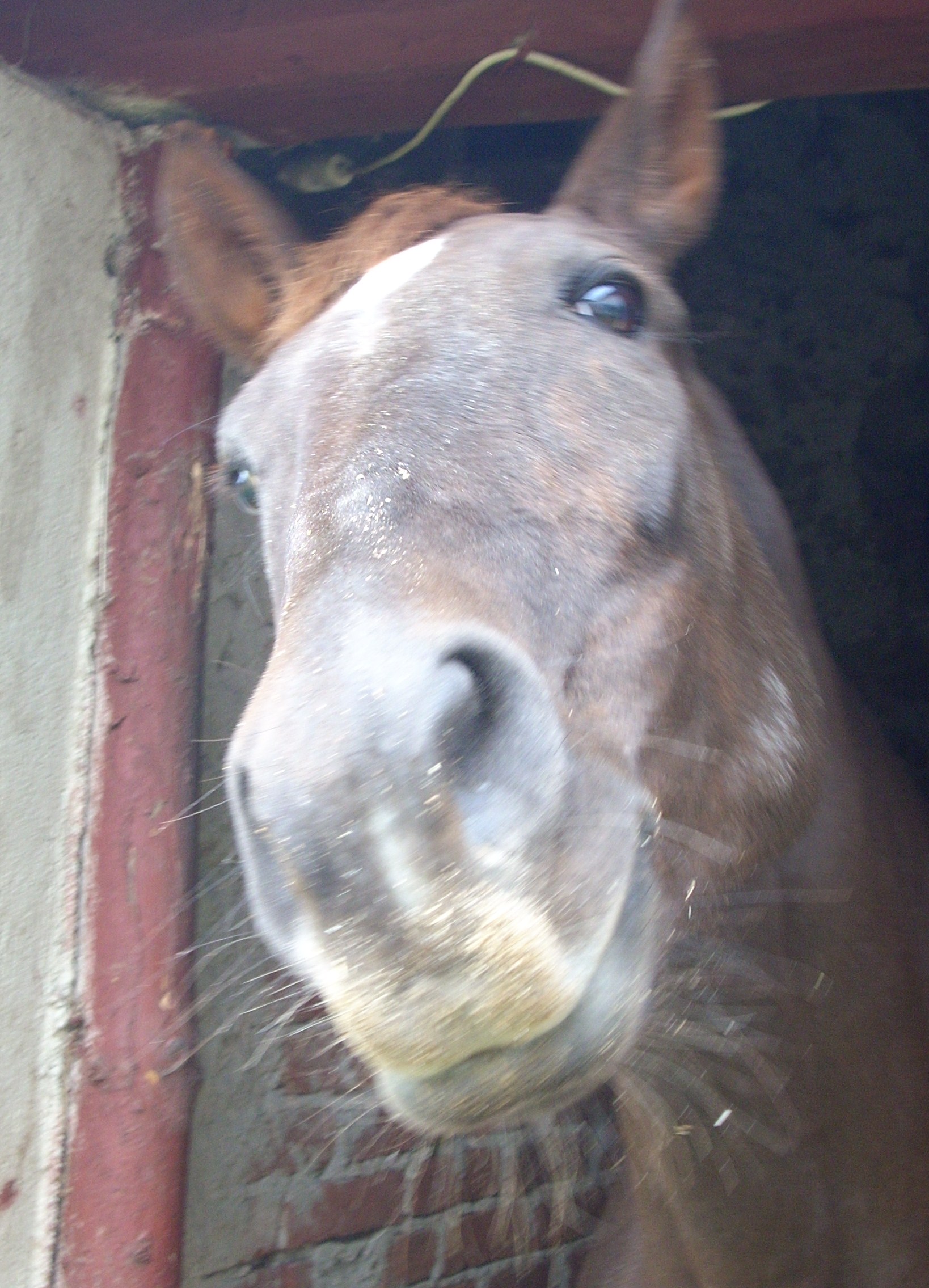DSCN1905.JPG