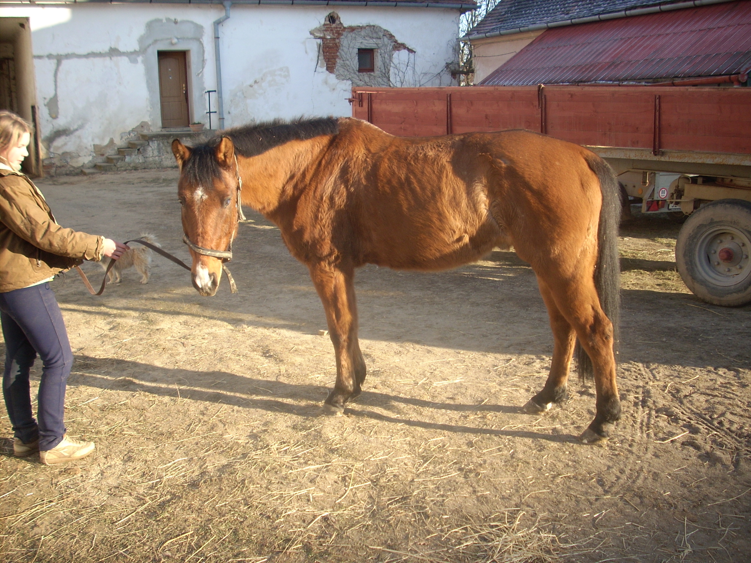 DSCN0023.JPG