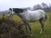 DSC00011.JPG