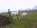DSC00016.JPG
