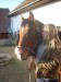DSCN0027.JPG